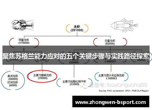 聚焦苏格兰能力应对的五个关键步骤与实践路径探索